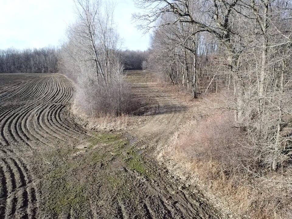 East Dodge Road Clio, MI 48420 - Photo 8 of 39 8