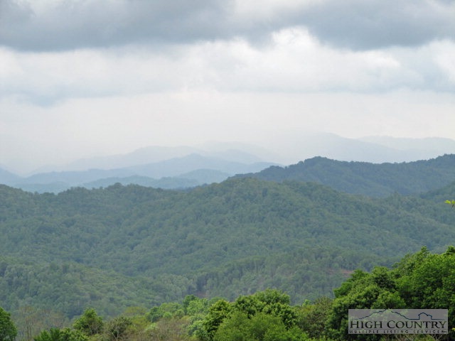 Big Branch Road Creston, NC 28615 - Photo 12 of 26 Gallery Image 12