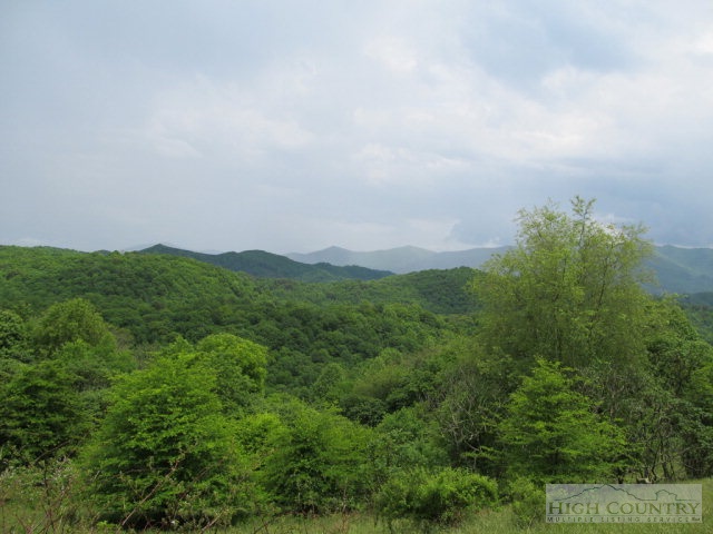 Big Branch Road Creston, NC 28615 - Photo 15 of 26 Gallery Image 15