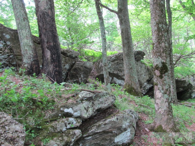 Big Branch Road Creston, NC 28615 - Photo 18 of 26 Gallery Image 18