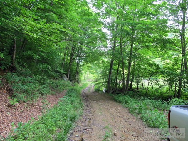 Big Branch Road Creston, NC 28615 - Photo 20 of 26 Gallery Image 20