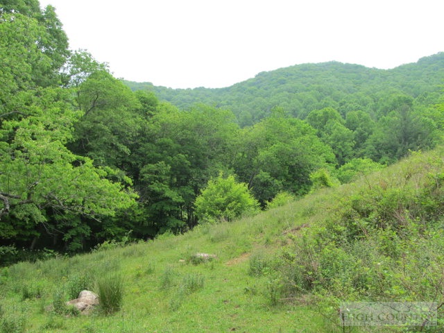 Big Branch Road Creston, NC 28615 - Photo 24 of 26 Gallery Image 24