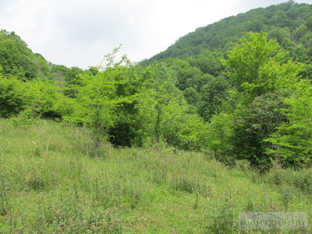 Big Branch Road Creston, NC 28615 - Photo 4 of 26 Gallery Image 4