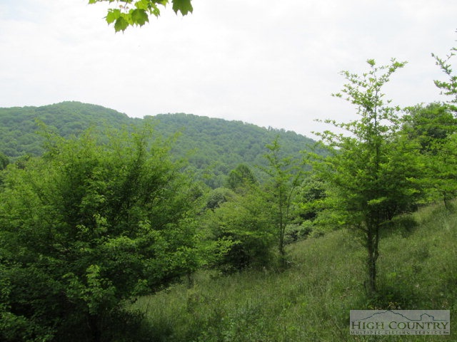 Big Branch Road Creston, NC 28615 - Photo 5 of 26 Gallery Image 5