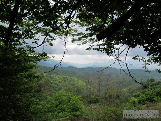 Big Branch Road Creston, NC 28615 - Photo 8 of 26 Gallery Image 8