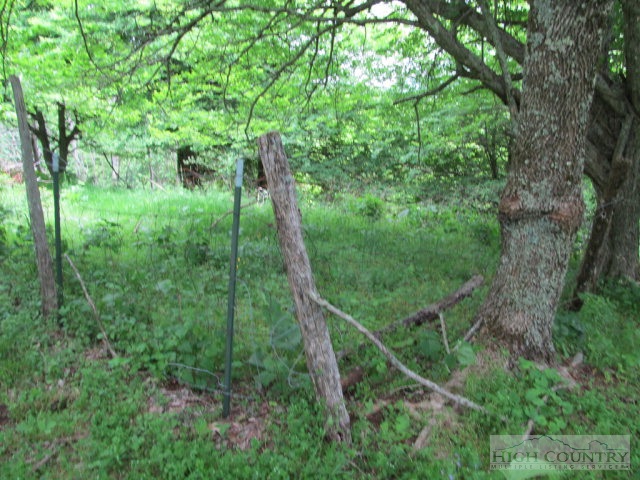 Big Branch Road Creston, NC 28615 - Photo 9 of 26 Gallery Image 9
