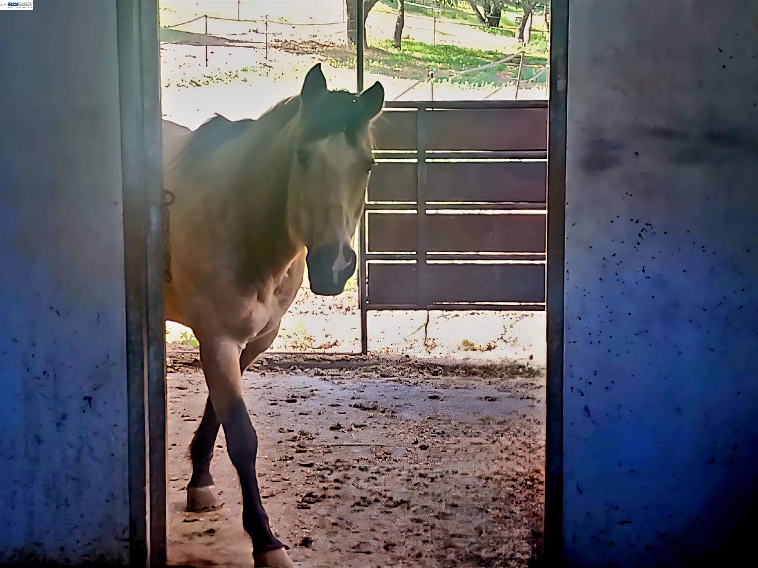 10700 Foothill Road Sunol, CA 94586 - Photo 53 of 59