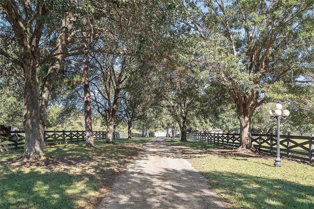 21483 Spring Clover Lane Covington, LA 70435 - Photo 4 of 29 Gallery Image 4