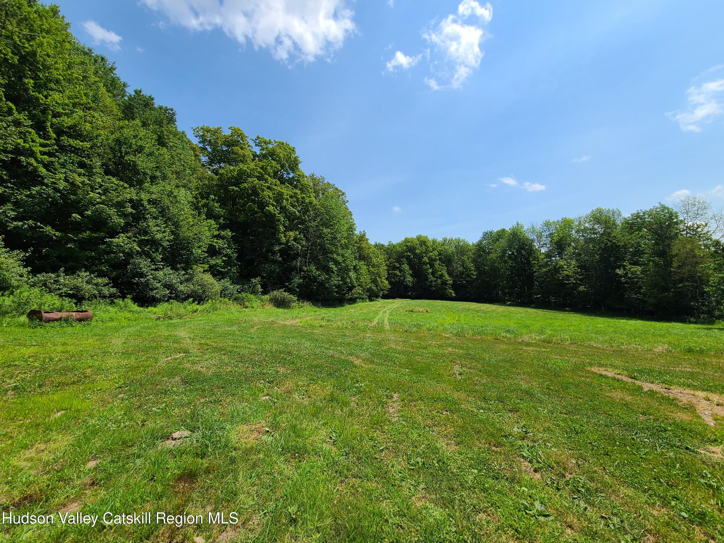 Tbd Stump Pond Road Livingston Manor, NY 12758 - Photo 1 of 8 a view of a big yard with a large tree
