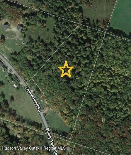 Tbd Stump Pond Road Livingston Manor, NY 12758 - Photo 2 of 8