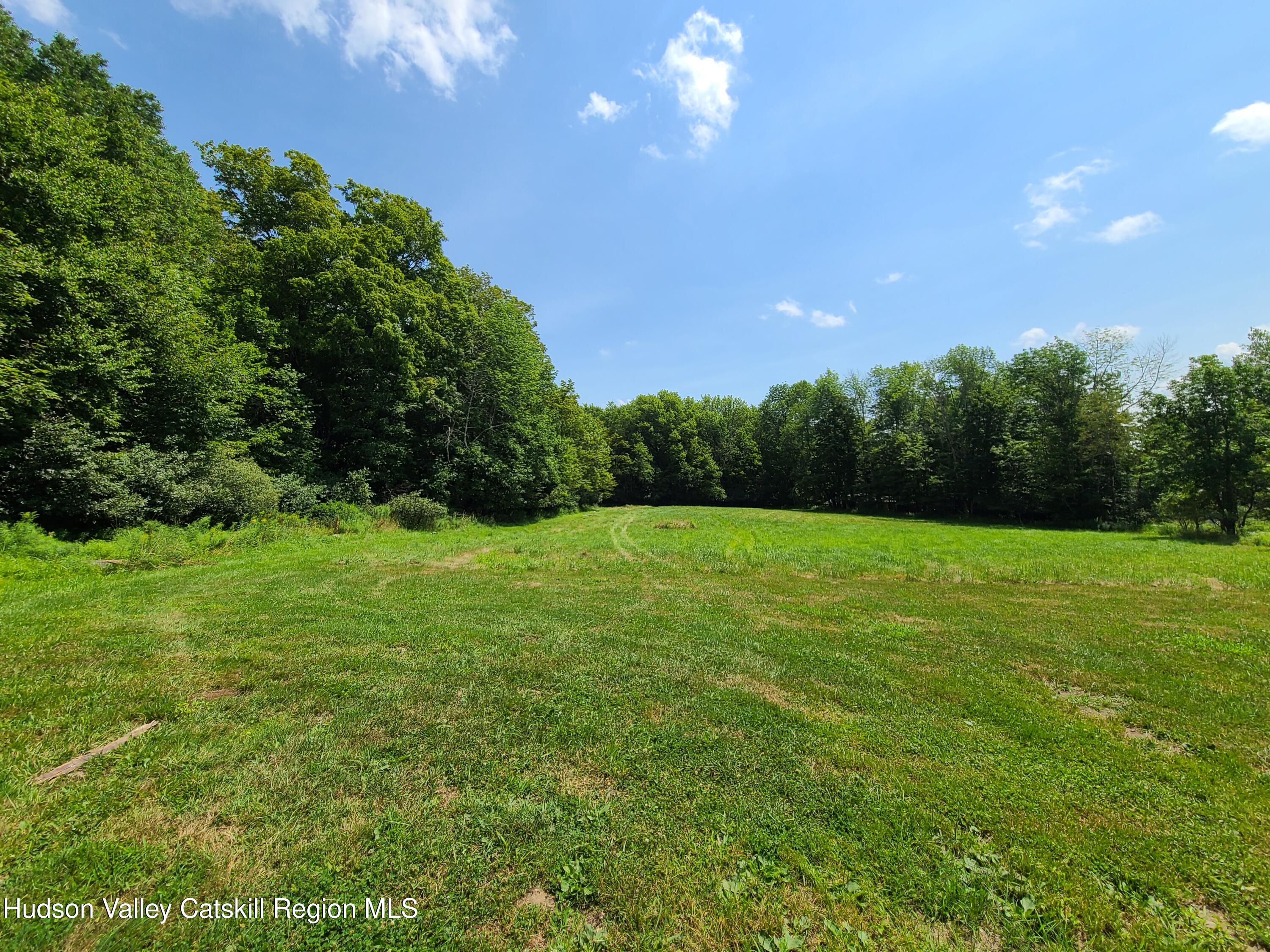 Tbd Stump Pond Road Livingston Manor, NY 12758 - Photo 5 of 8
