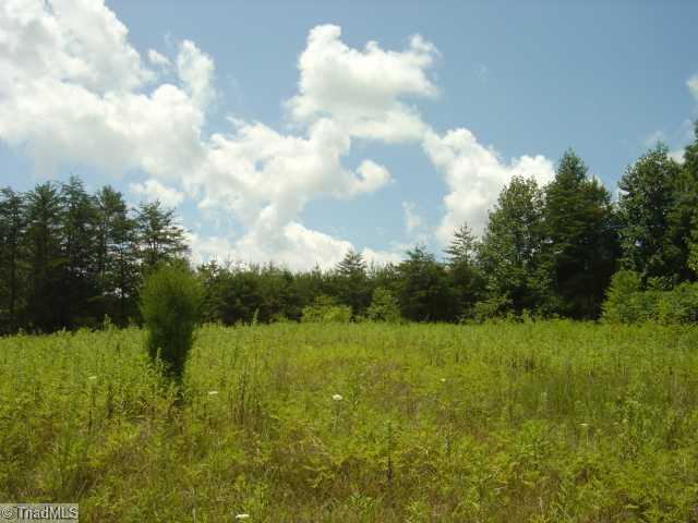 0 Beasley School Road Sandy Ridge, NC 27046 - Photo 2 of 3 Other.