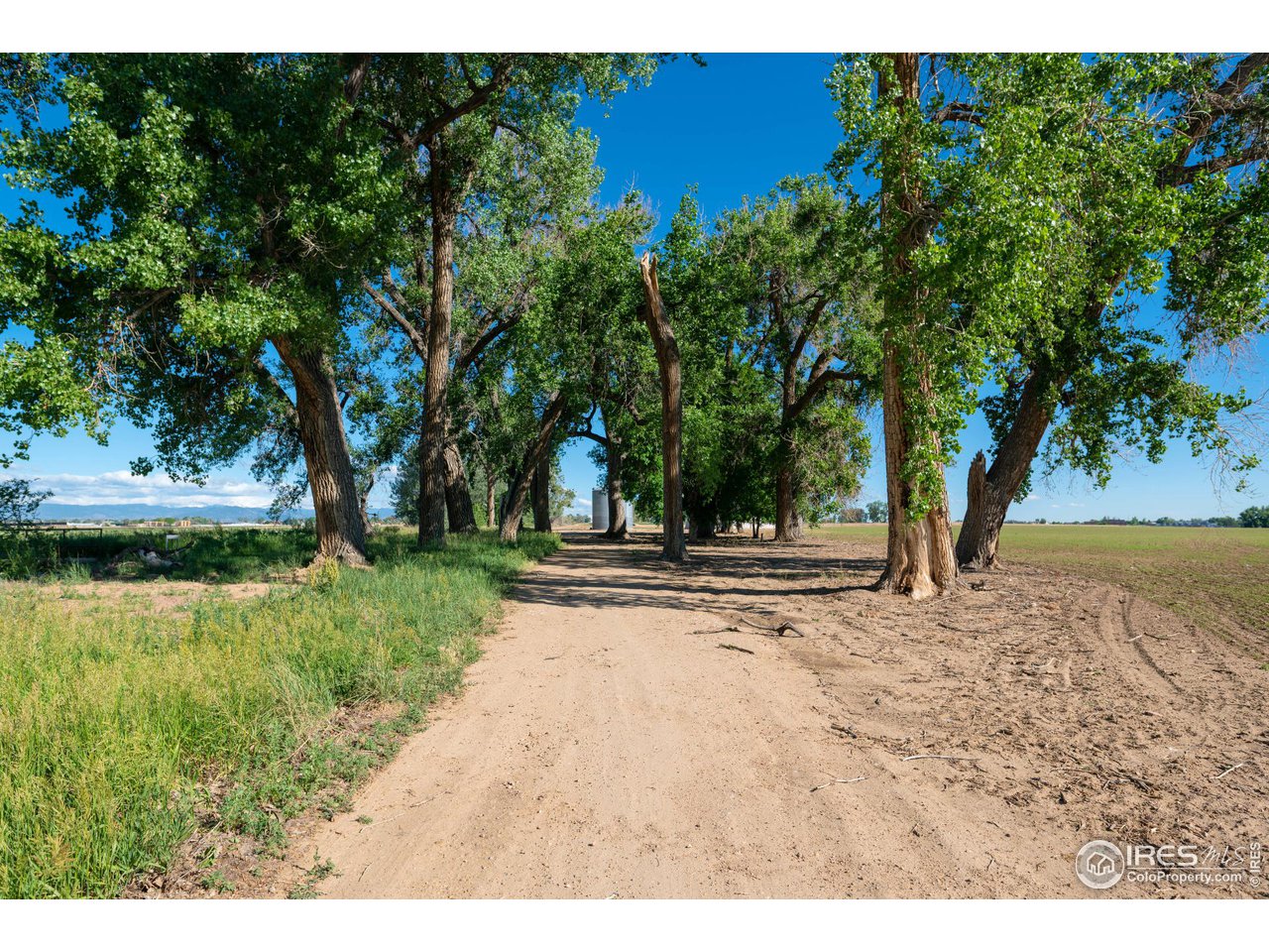 15195 Ypsilon Circle Mead, CO 80542 - Photo 5 of 8