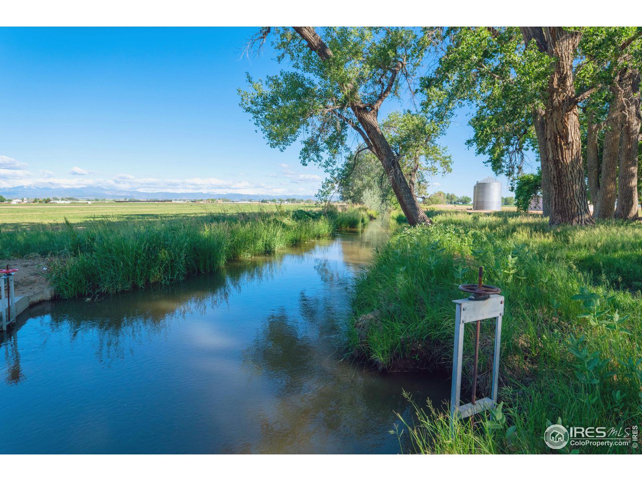 15195 Ypsilon Circle Mead, CO 80542 - Photo 6 of 8