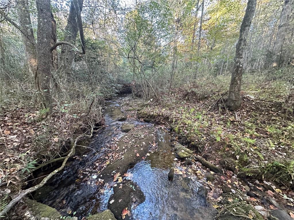 0 Lee Mashburn Road Dahlonega, GA 30533 - Photo 8 of 19