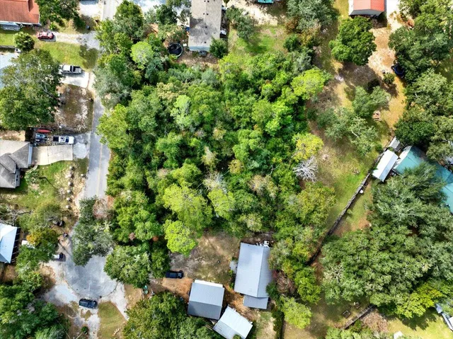an outdoor space with lots of trees