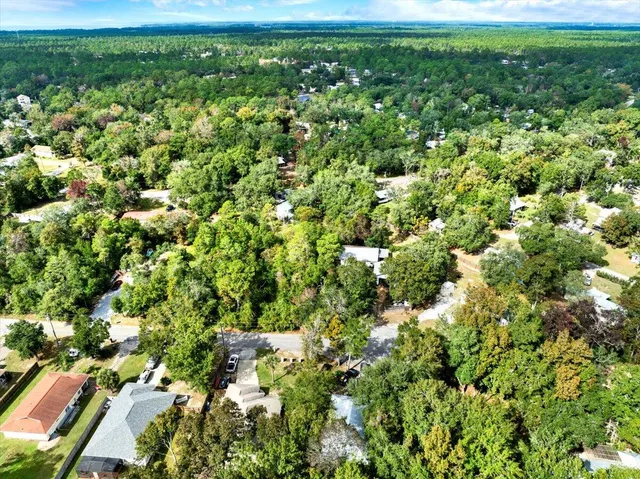 a view of a big yard with plants and large trees