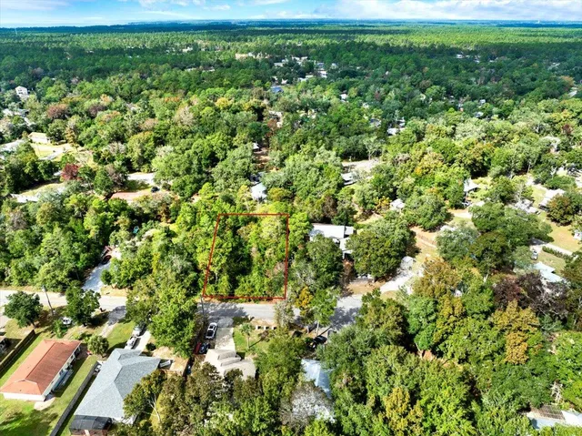 a view of a big yard with plants and large trees
