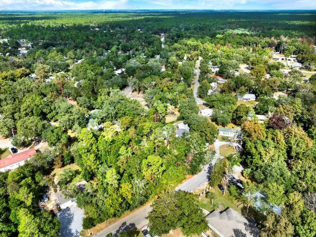 a view of a bunch of trees and bushes