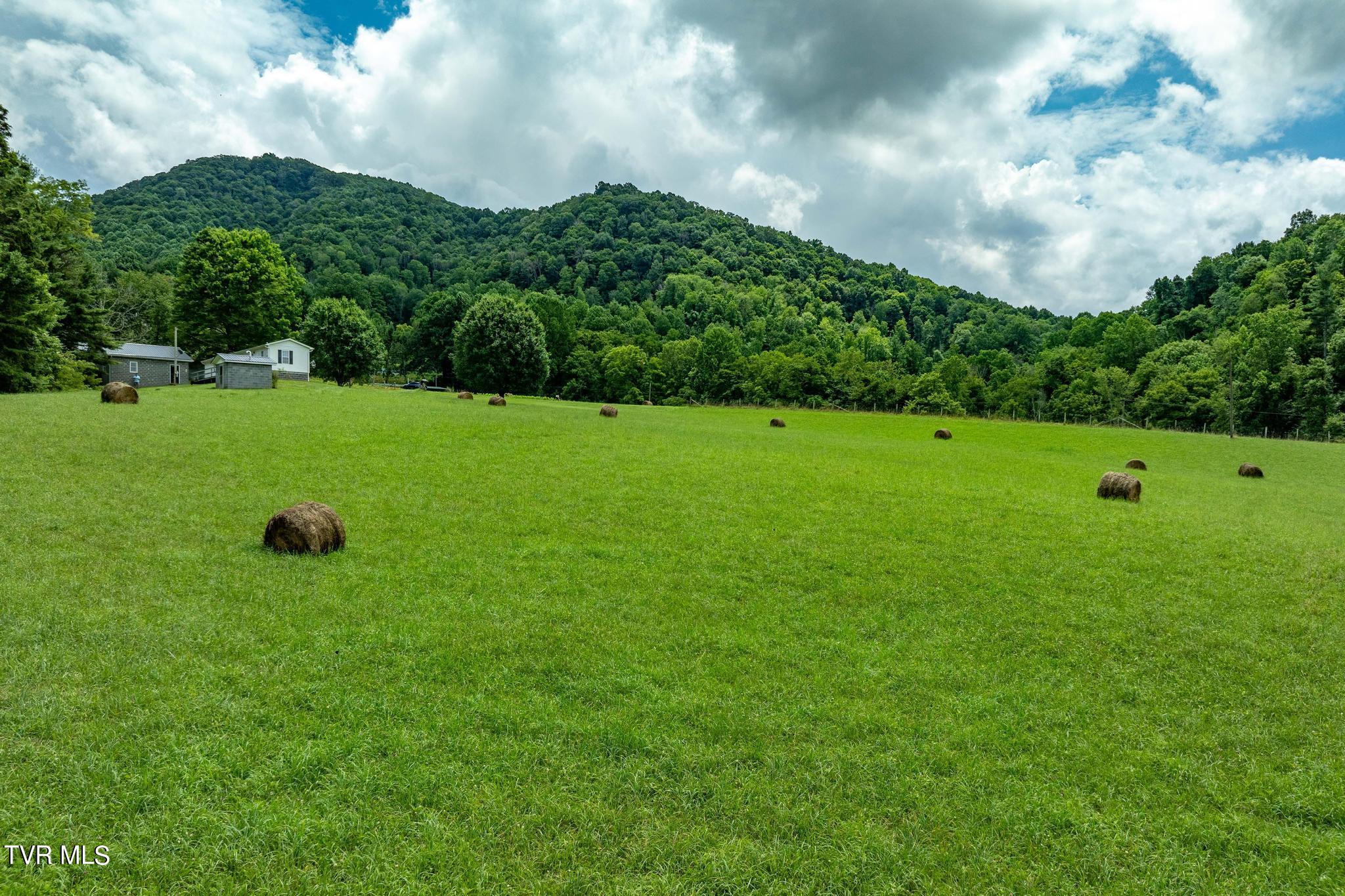 2051 Stage Road Mountain City, TN 37683 - Photo 11 of 64 2051 Stage Road (25 of 69)