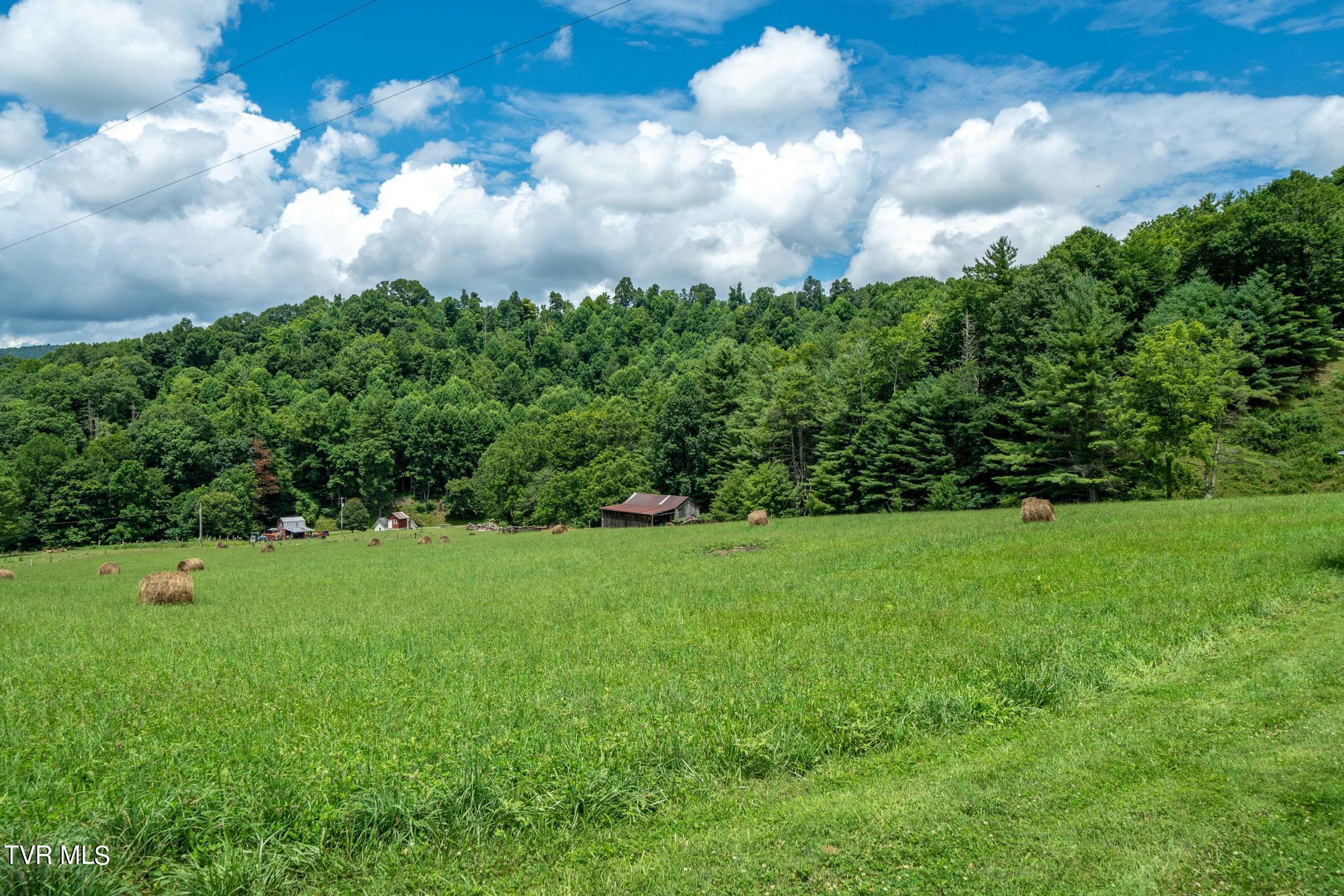 2051 Stage Road Mountain City, TN 37683 - Photo 15 of 64 2051 Stage Road (29 of 69)