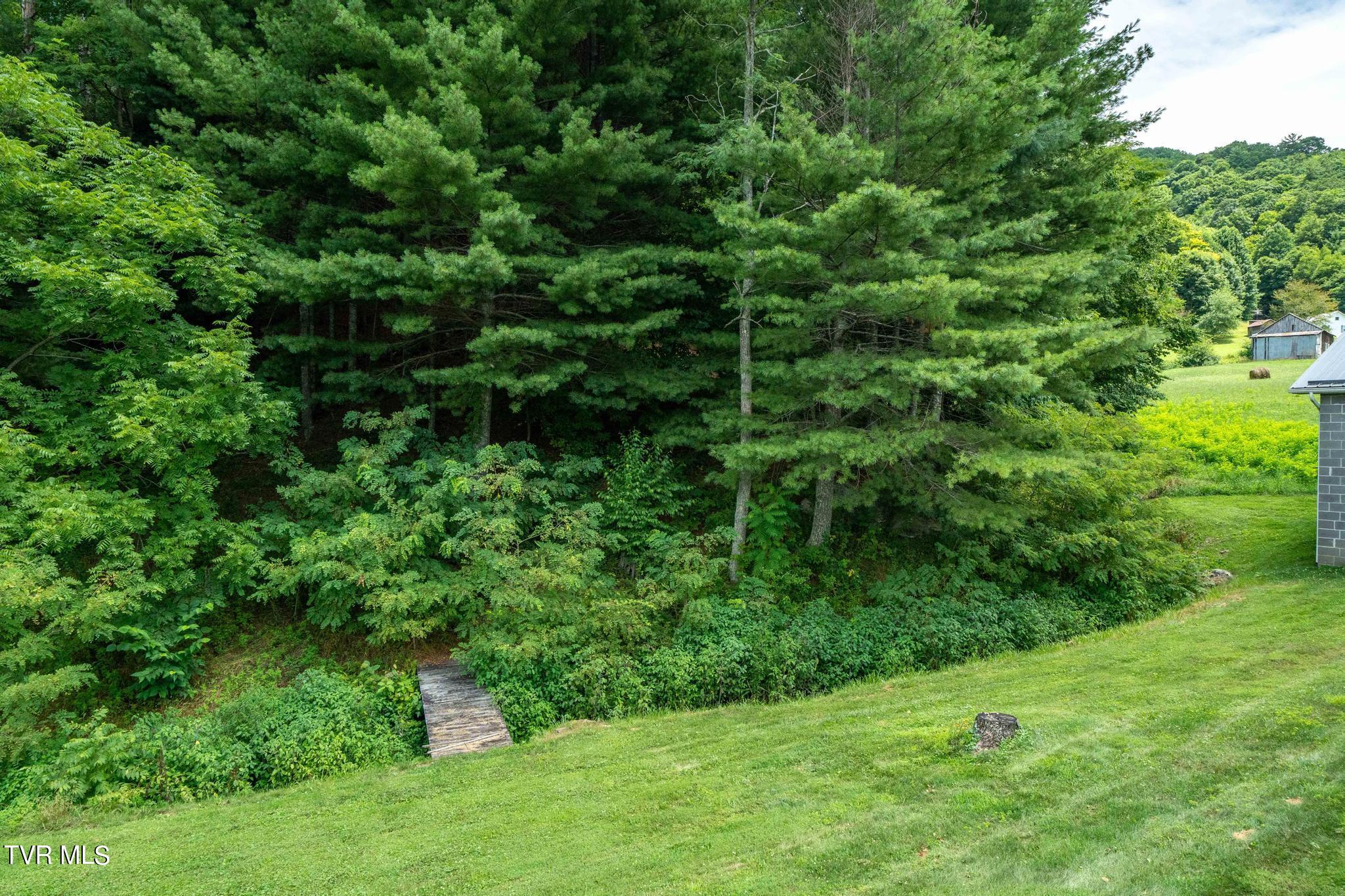 2051 Stage Road Mountain City, TN 37683 - Photo 29 of 64 2051 Stage Road (44 of 69)