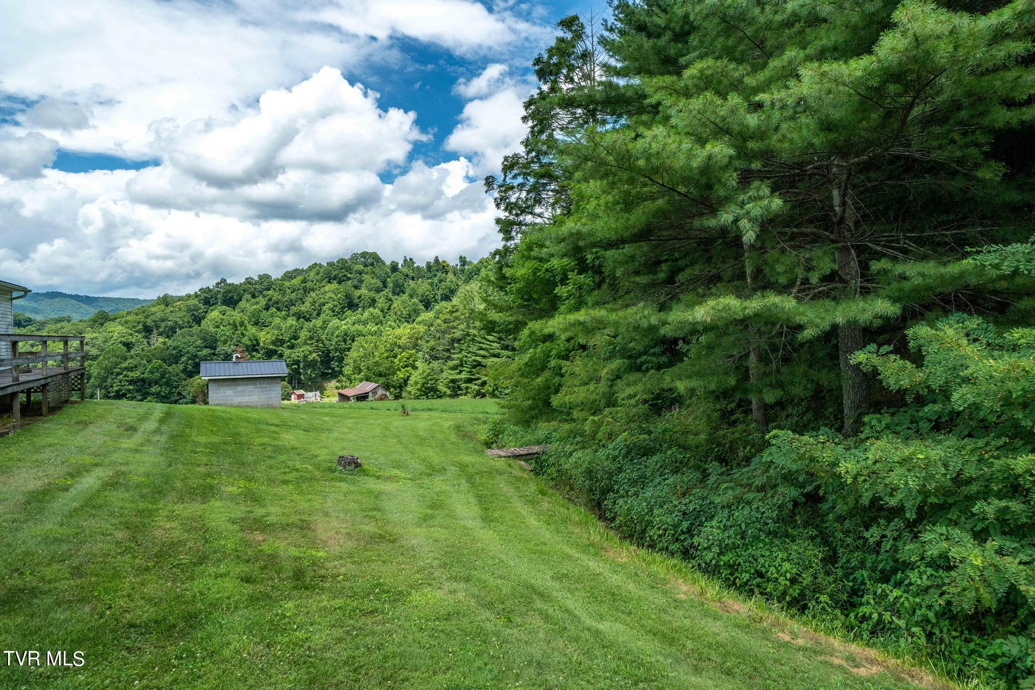 2051 Stage Road Mountain City, TN 37683 - Photo 30 of 64 2051 Stage Road (48 of 69)