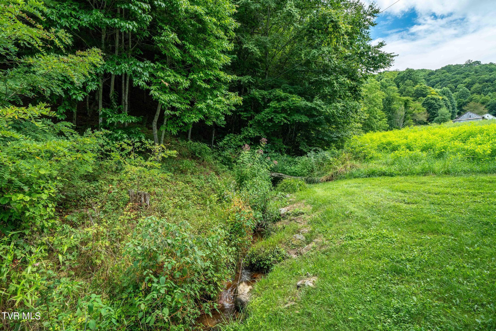 2051 Stage Road Mountain City, TN 37683 - Photo 31 of 64 2051 Stage Road (49 of 69)