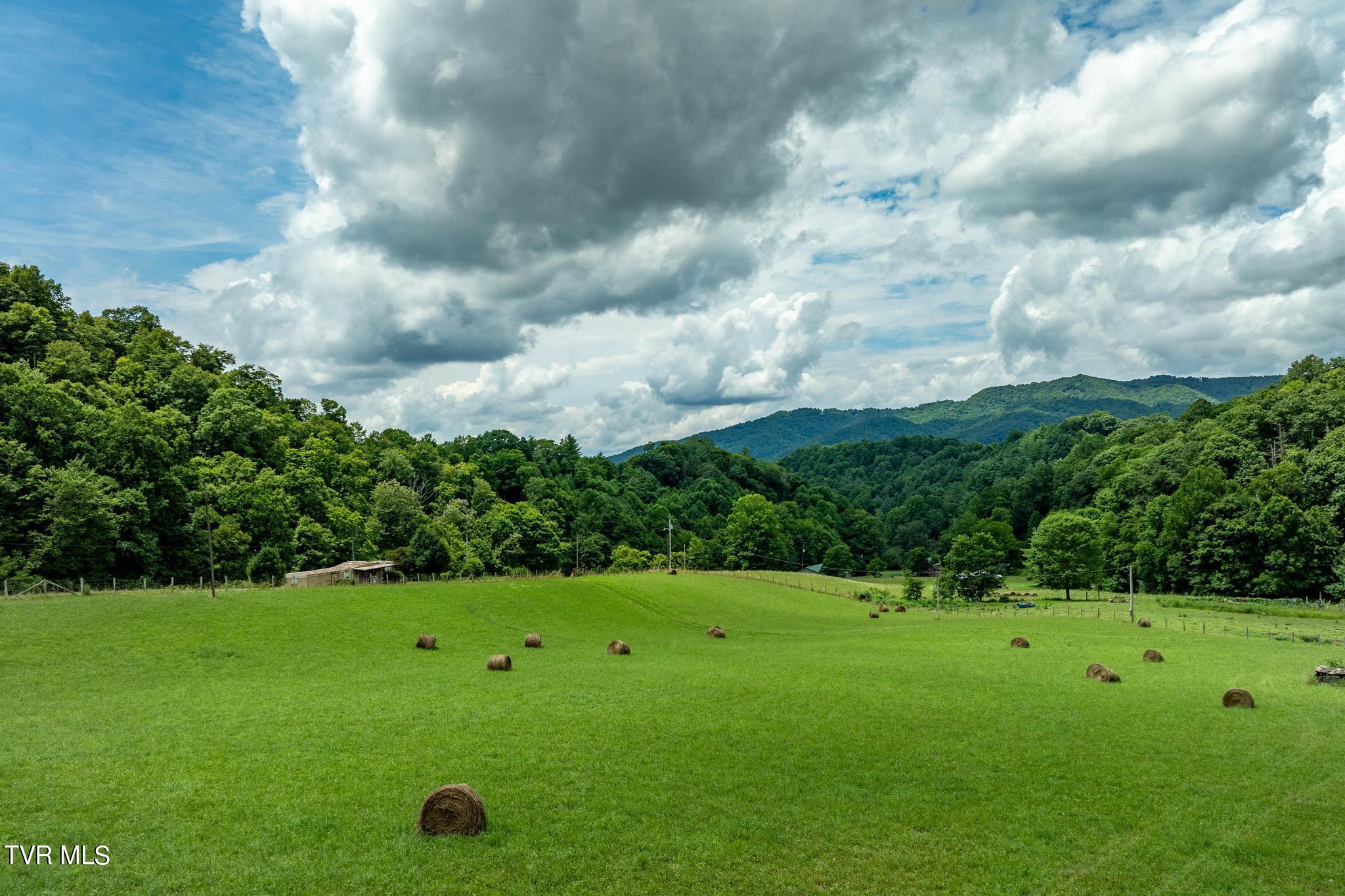 2051 Stage Road Mountain City, TN 37683 - Photo 6 of 64 2051 Stage Road (20 of 69)