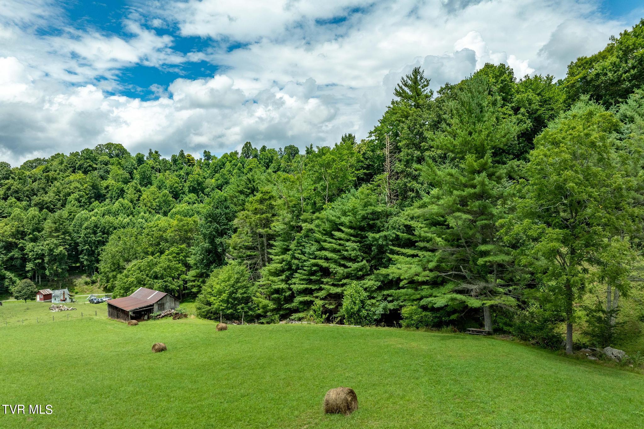 2051 Stage Road Mountain City, TN 37683 - Photo 7 of 64 2051 Stage Road (21 of 69)