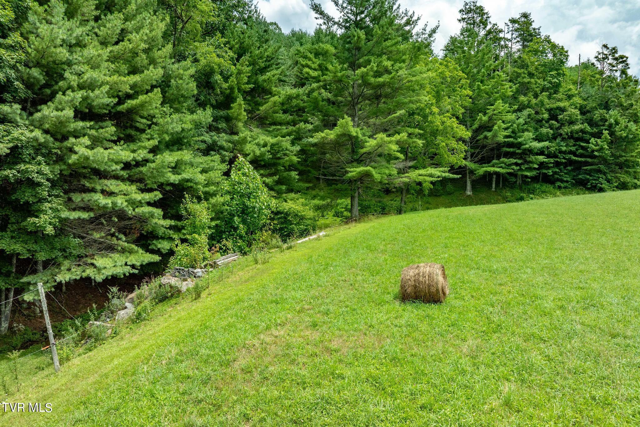 2051 Stage Road Mountain City, TN 37683 - Photo 10 of 64 2051 Stage Road (24 of 69)