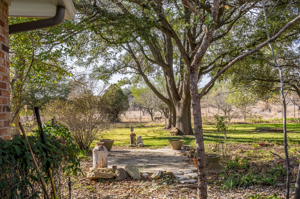 307 Frederick Road Fredericksburg, TX 78624 - Photo 12 of 14 a view of a yard with large trees