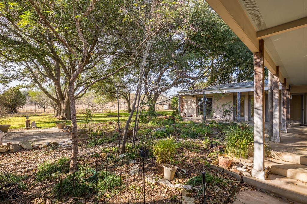 307 Frederick Road Fredericksburg, TX 78624 - Photo 13 of 14 a view of a yard in front of a house with a large tree