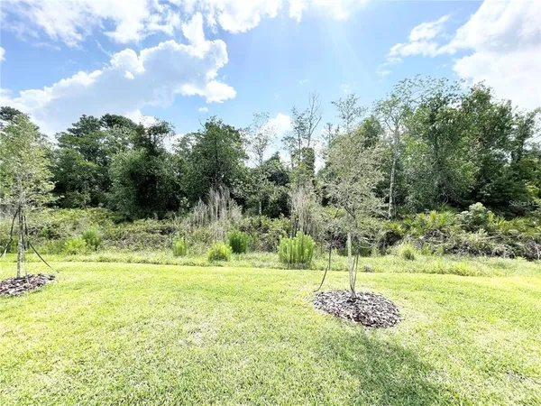 a view of a yard with a tree