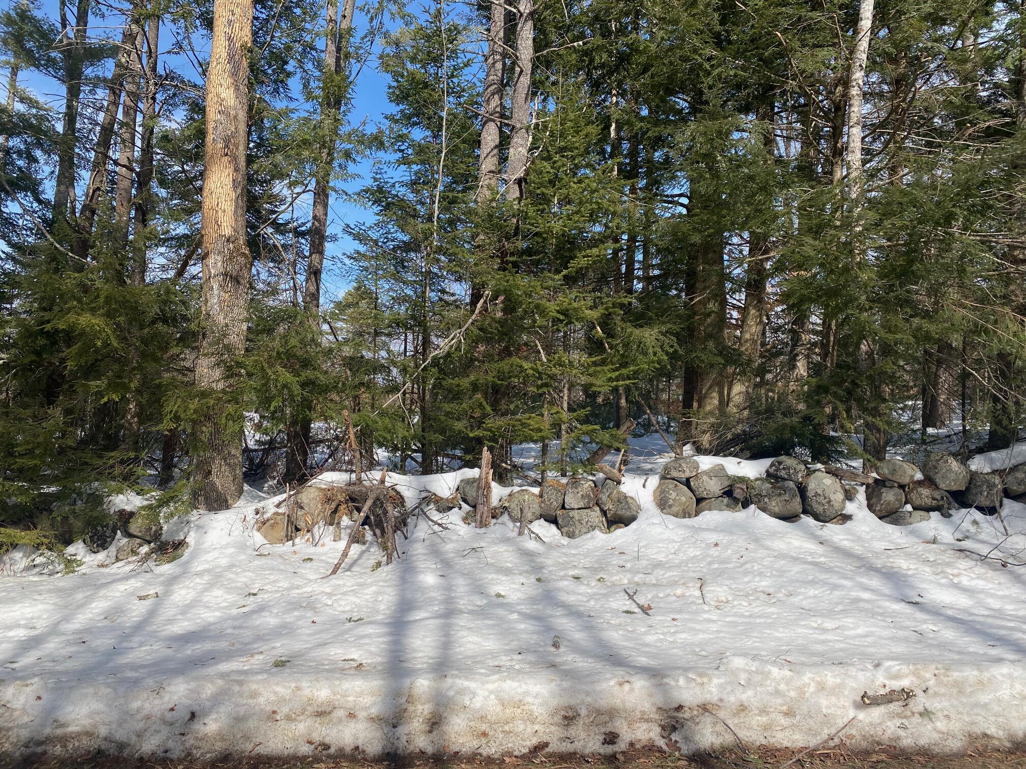 Lot 2 Chase Road Parsonsfield, ME 04047 - Photo 13 of 14 IMG_8487