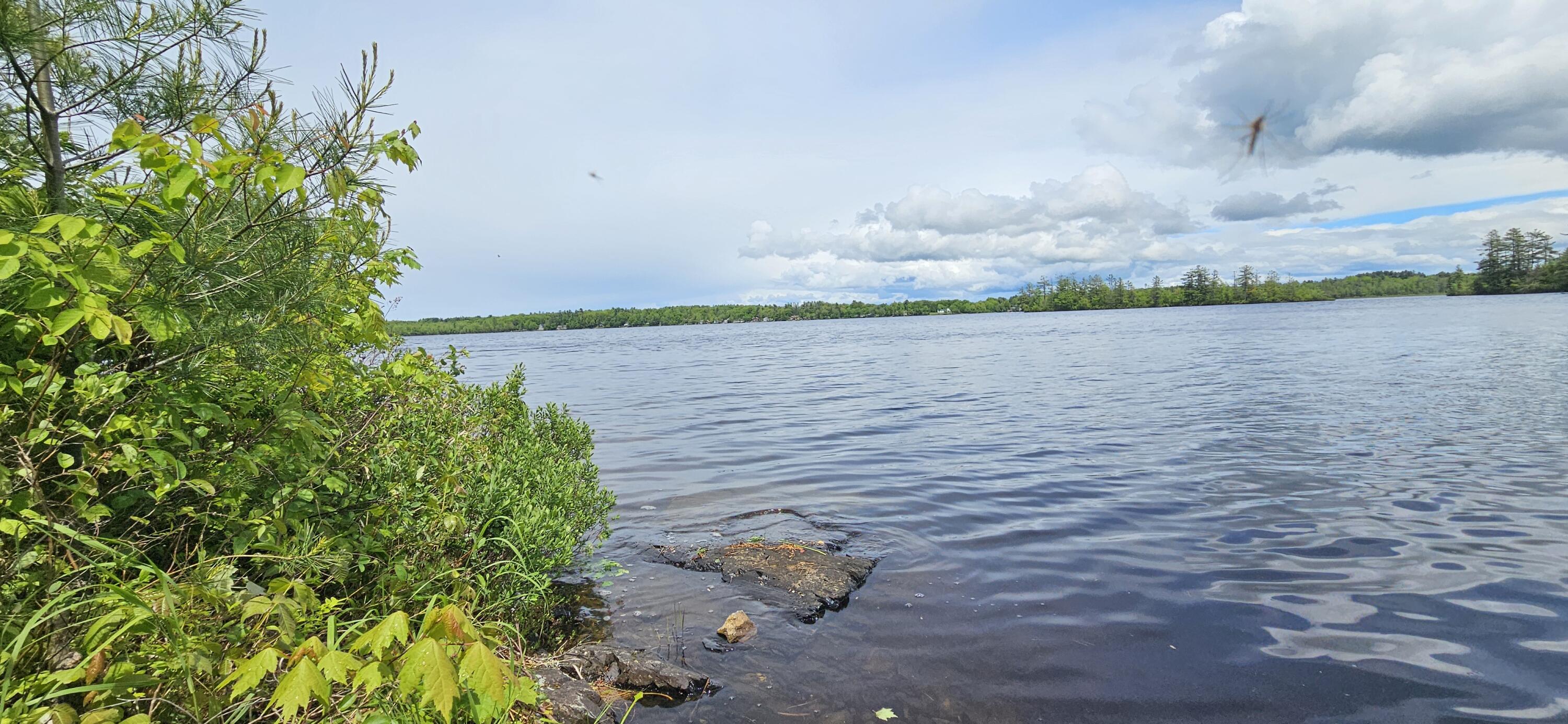 199 Collette Road Holden, ME 04429 - Photo 3 of 4 20250602_125853
