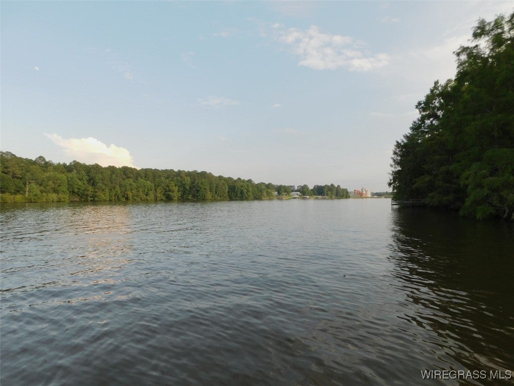 0 Lucy Road Andalusia, AL 36421 - Photo 1 of 12 Gallery Image 1