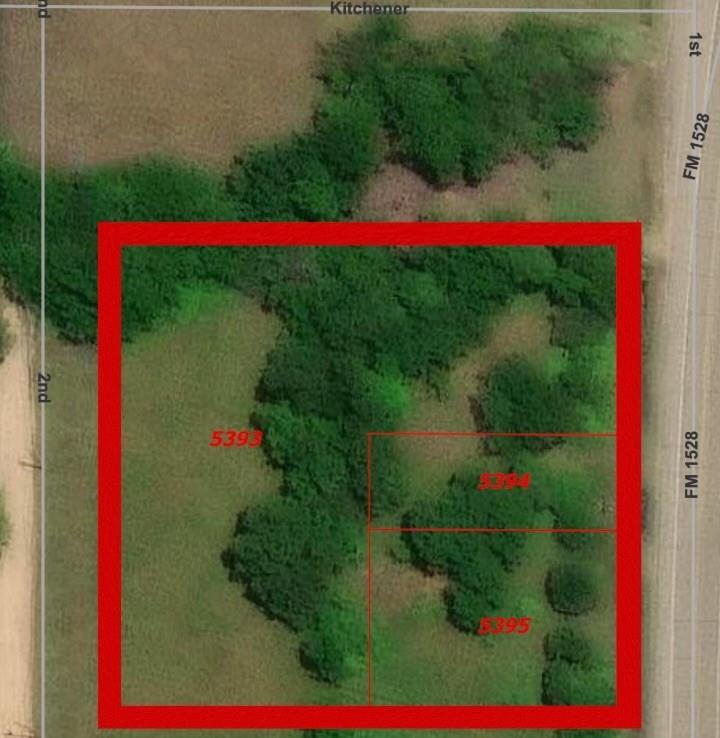 731 Northwest 1st Street Cooper, TX 75432 - Photo 5 of 9 a view of a back yard