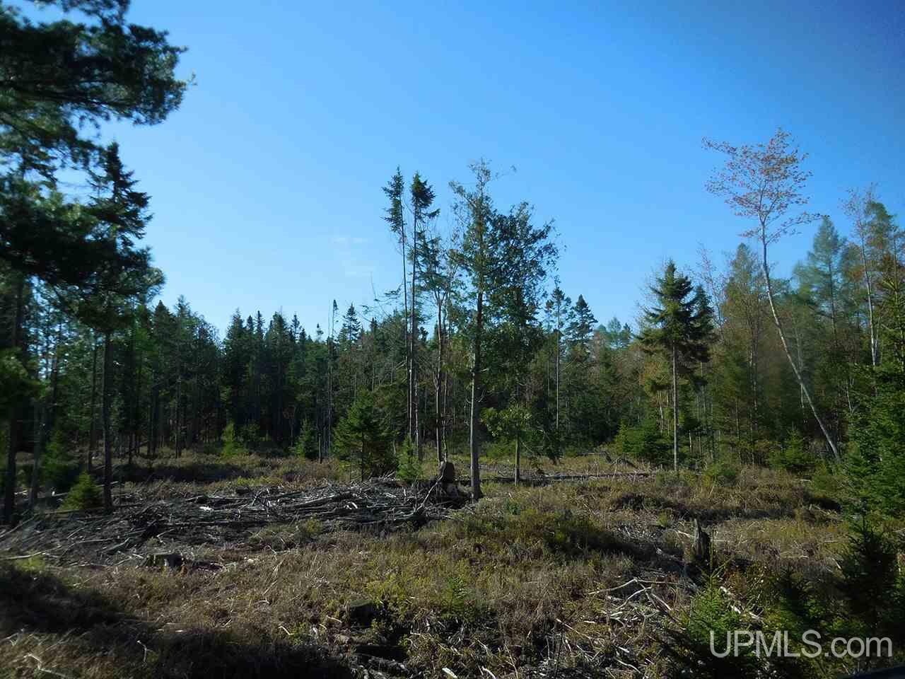 1480 Acres On Co Road Manistique, MI 49854 - Photo 3 of 49