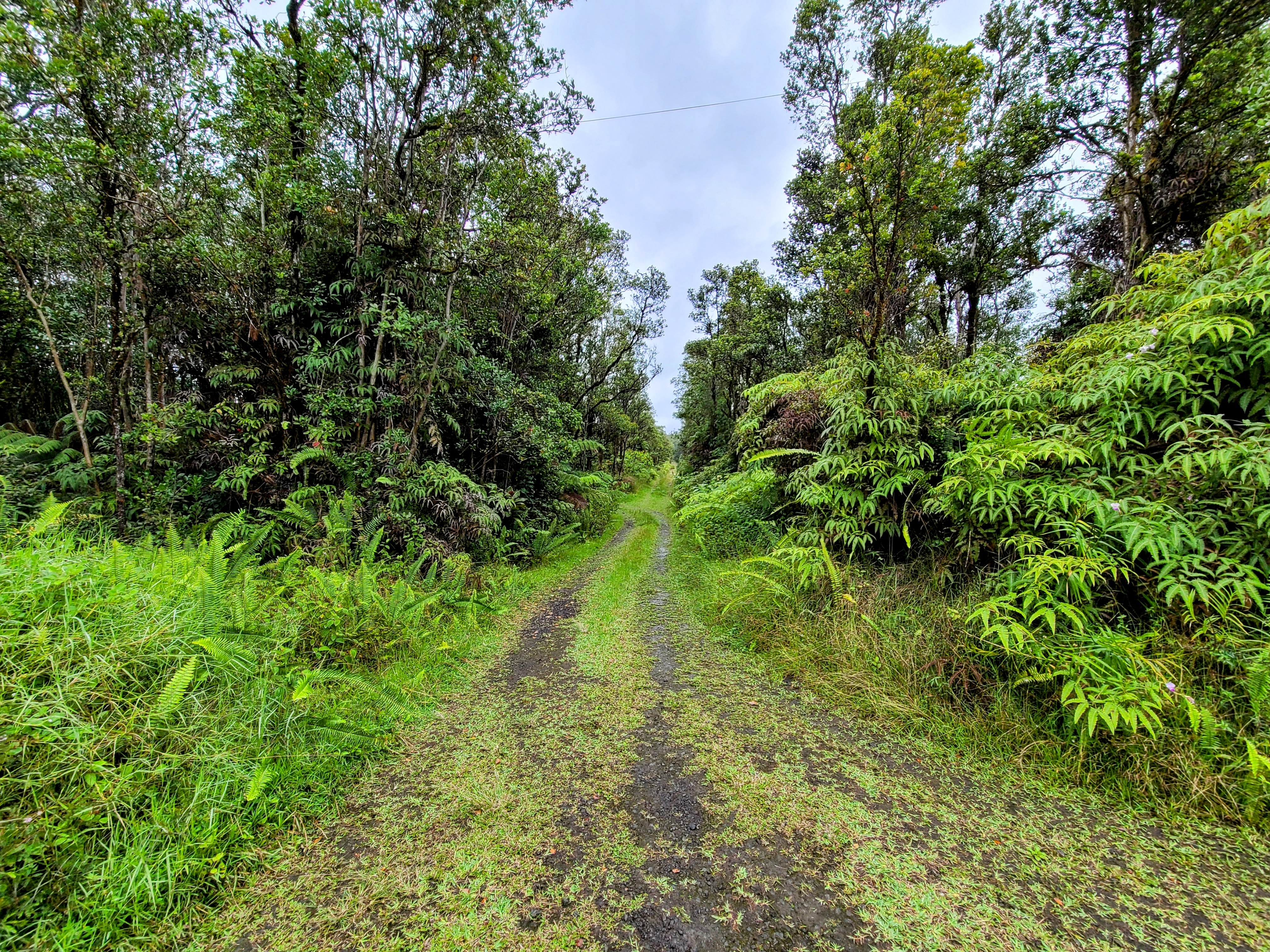 53 Ala Naulani Road Pahoa, HI 96778 - Photo 8 of 8