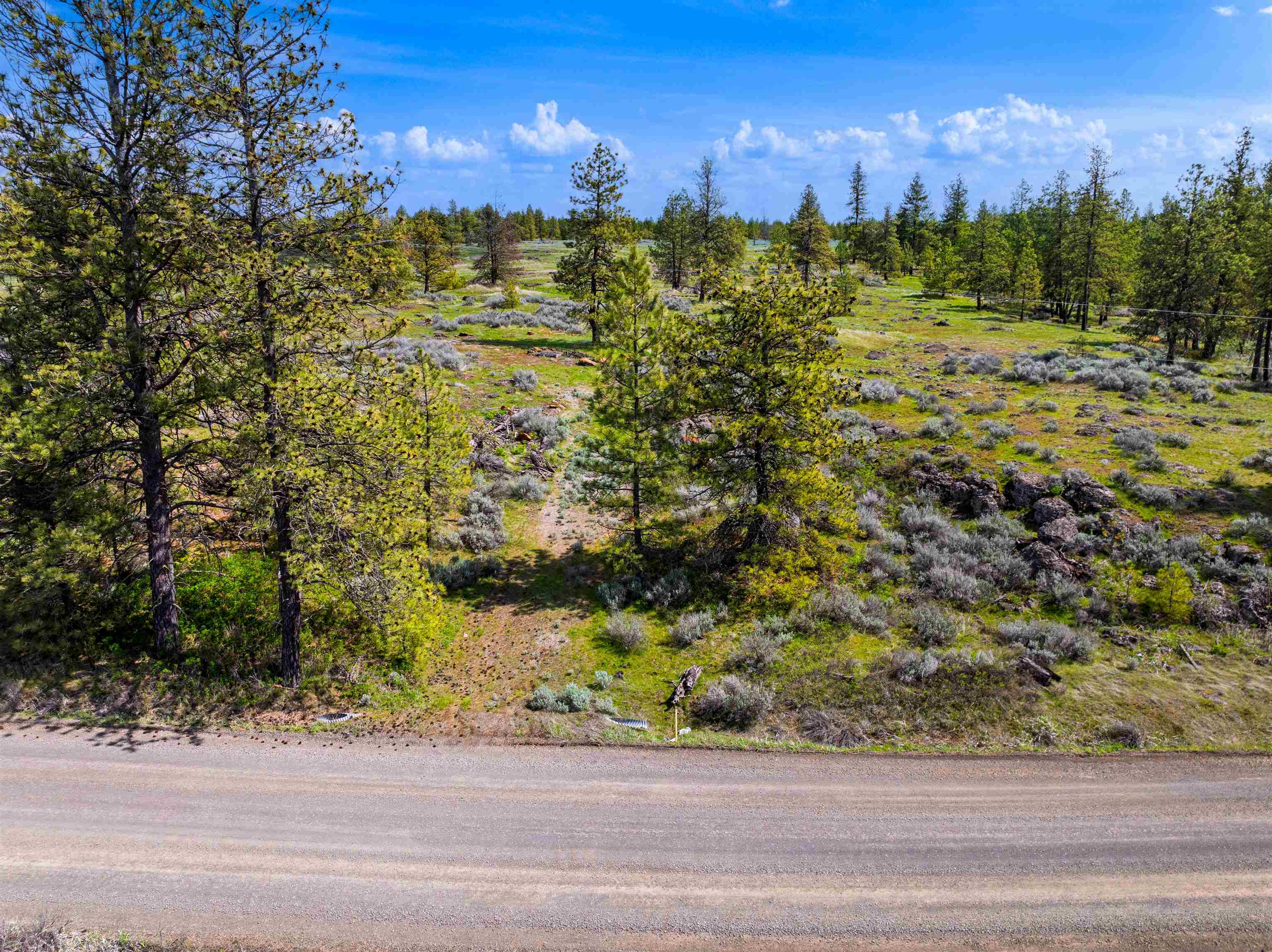 21-xxx South Harrison Road Edwall, WA 99008 - Photo 6 of 8