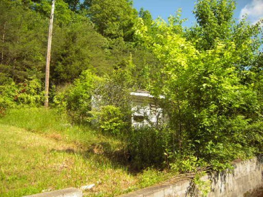 424 Pumpkin Hollow Road Heiskell, TN 37754 - Photo 4 of 6 Additional Photo