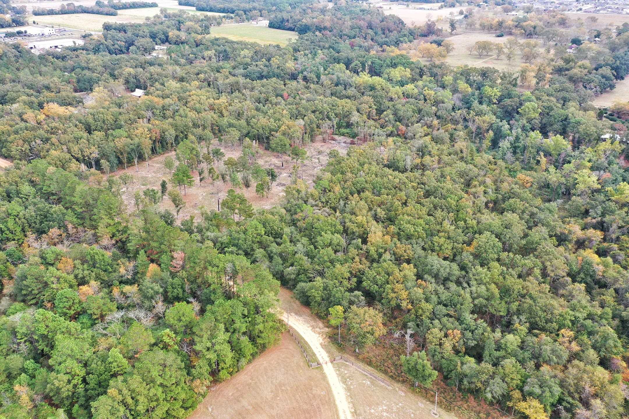 1 Sanca Lane Silverhill, AL 36576 - Photo 5 of 11