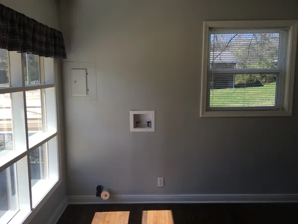 a view of a yard with trees