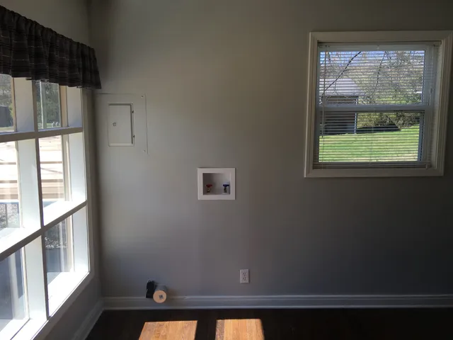 a view of a yard with trees