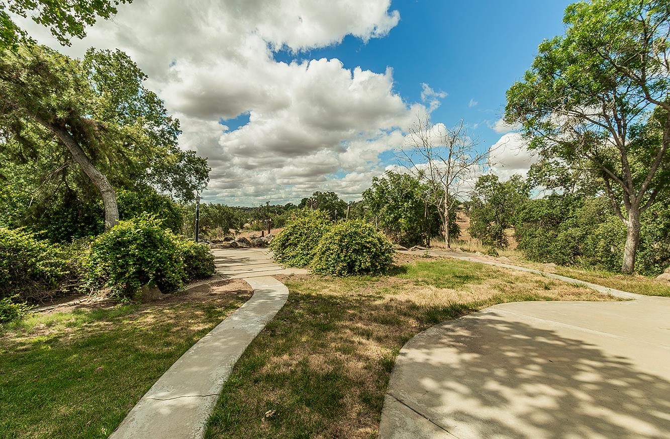 15501 Garlock Lane Prather, CA 93651 - Photo 29 of 47 a view of a yard with plants and trees