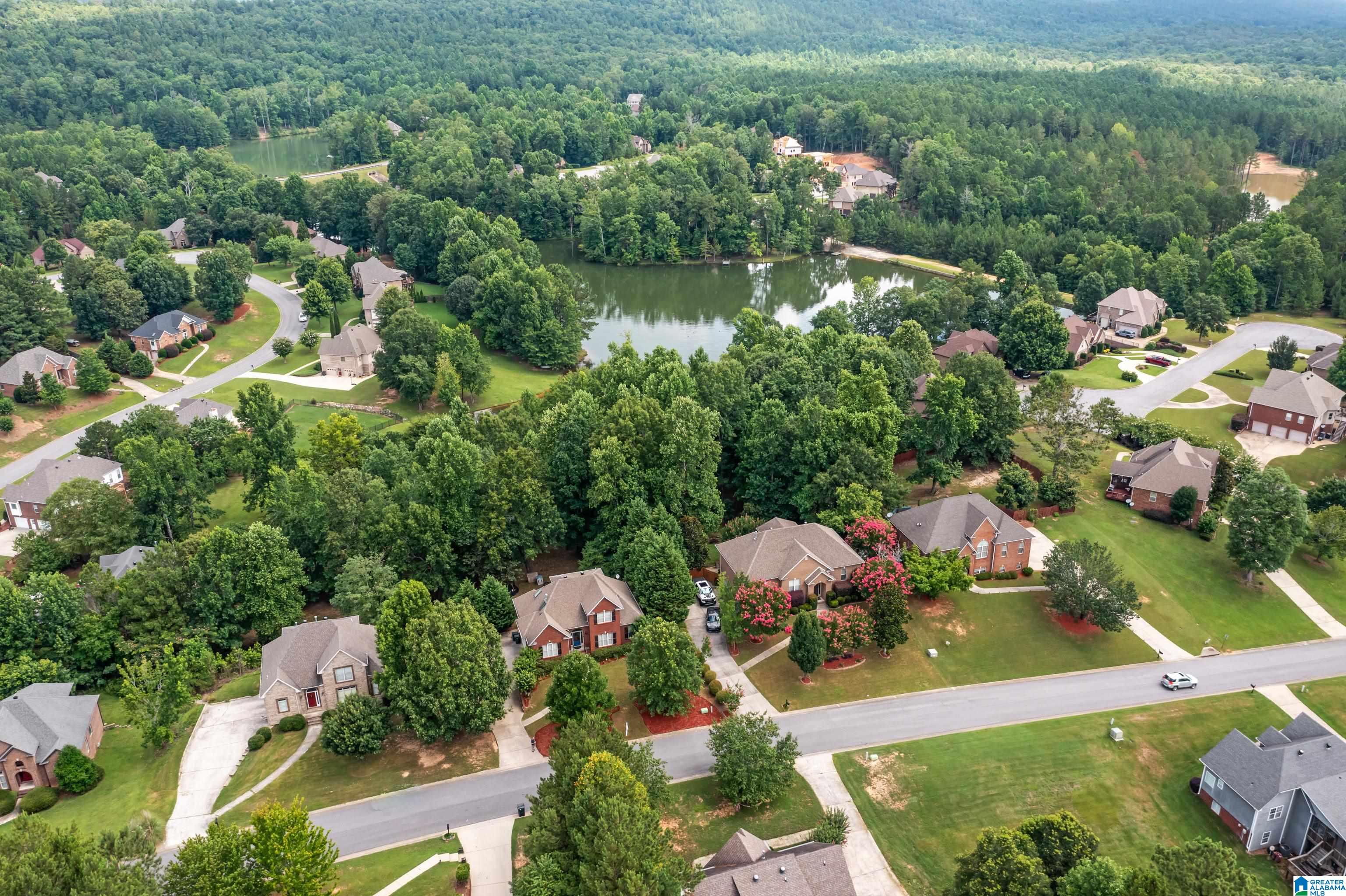 320 Deer Ridge Lane Chelsea, AL 35043 - Photo 3 of 50