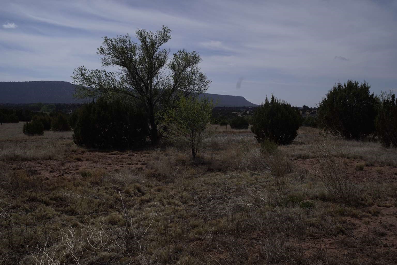 0 County Road Ribera, NM 87560 - Photo 12 of 20