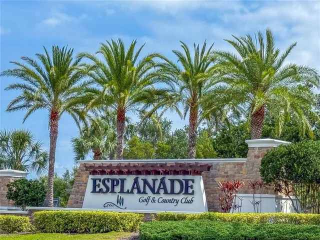 a view of a park with palm trees