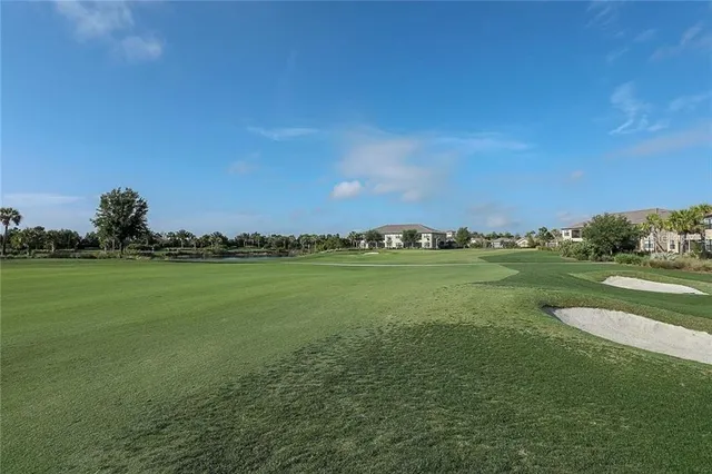 a view of a park with large trees